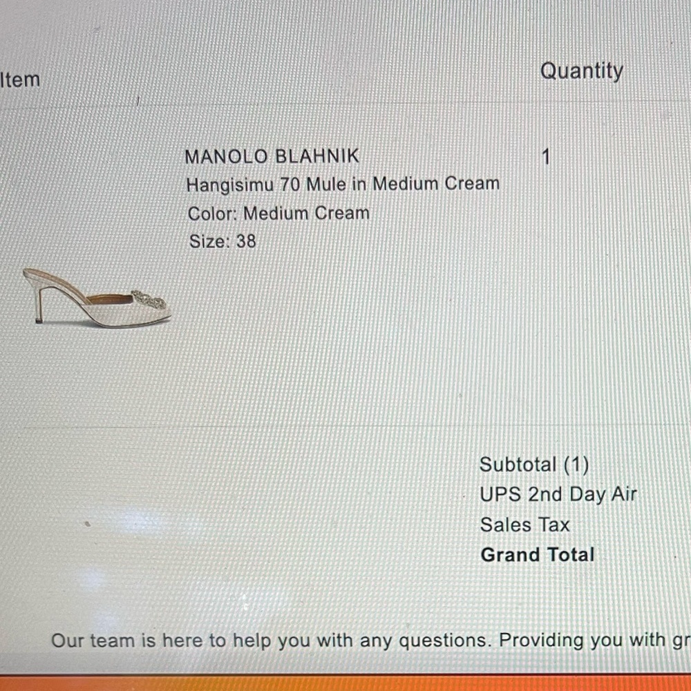 COPY - Manolo Blahnik hangisimu 70 mule - Picture 9 of 9